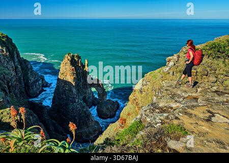 Femme randonnée se tient sur la falaise et regarde l'arc Cathedral Rock, Wild Coast Trail, Wild Coast Coast Coast, Eastern Cape, Afrique du Sud Banque D'Images