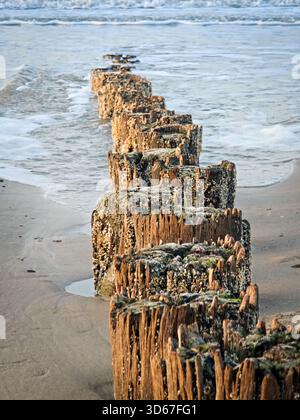 Des poteaux en bois dépassent de la plage de sable, partiellement immergés dans l'eau. Les vagues se battent doucement contre eux alors que le soleil commence à se lever, jetant une lueur chaude ov Banque D'Images