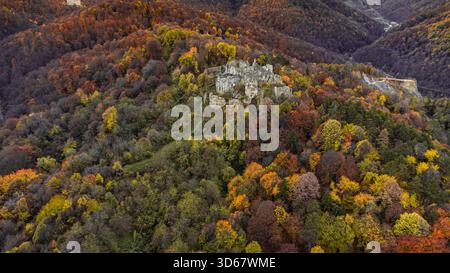 Vue aérienne des ruines de la forteresse médiévale nichée au milieu d'une tapisserie vibrante de feuillage d'automne, un contraste frappant avec les collines environnantes, Orahovica, VI Banque D'Images