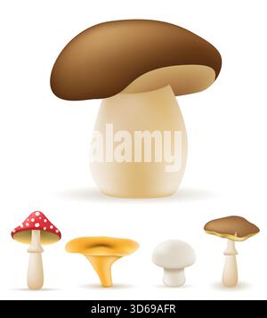 illustration vectorielle stock de dessins animés de champignons de la nature isolée sur fond blanc Illustration de Vecteur