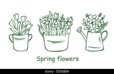 Ensemble de fleurs de printemps de bouquet de contour dans l'arrosoir Illustration de Vecteur
