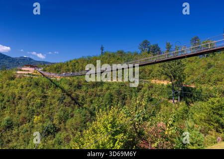 Gatlinburg, Tennessee, États-Unis - 2 octobre 2025 : vue sur le Skybridge le plus long pont câblé pour piétons d'Amérique du Nord avec vue sur le Great Smok Banque D'Images