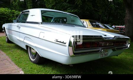 Bad Bentheim, Allemagne - 13 juillet 2025 L'arrière d'une Ford Thunderbird blanche quatrième génération de 1966 lors d'une réunion de voitures anciennes Banque D'Images