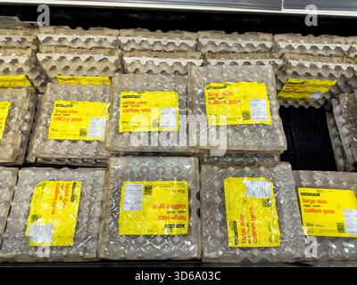 Winnipeg, Manitoba, Canada - 05-08-2023 : vue de haut en bas de plusieurs cartons de gros oeufs No Name, exposés dans une épicerie locale. Banque D'Images