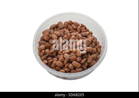 Haricots rouges cuits servis dans un récipient alimentaire en plastique transparent, professionnellement isolé sur fond blanc. Légumineuse nutritive parfaite pour les repas prepar Banque D'Images