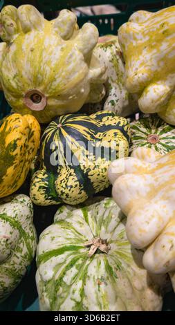 Assortiment de citrouilles et de gourdes mélangées dans des couleurs vives au stand du marché. Banque D'Images