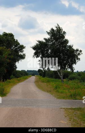 Sentier rural droit menant à travers la campagne verdoyante avec des arbres, des prairies et un ciel légèrement nuageux. Banque D'Images