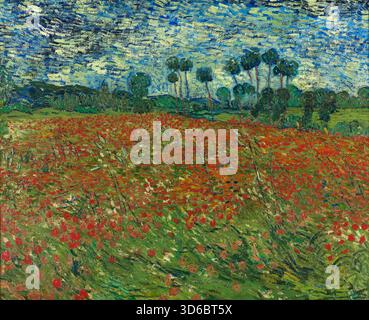 'Champ de coquelicots. Vincent van Gogh (néerlandais, 1853-1890)' Banque D'Images