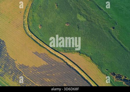 Photographie aérienne de haut en bas montrant une frontière nette et incurvée entre deux champs contrastés : une culture verte éclatante et des terres agricoles brun clair. Représente l'utilisation des terres agricoles et les schémas abstraits. Banque D'Images
