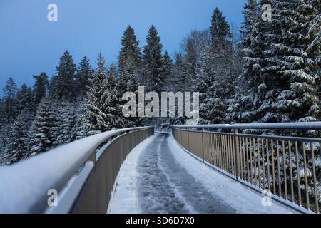 Freudenstadt, Allemagne. 20 novembre 2025. La neige se trouve sur une passerelle sur le Kniebis près de Freudenstadt. Jusqu'à 20 centimètres de neige fraîche sont attendus dans la Forêt Noire. Crédit : Silas Stein/dpa/Alamy Live News Banque D'Images