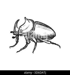 coléoptère de rhinocéros dessiné à la main, insecte de forêt tropicale, illustration vectorielle de la faune exotique insecte insecte insecte insecte de corne arthropode, encre monochrome eng Illustration de Vecteur