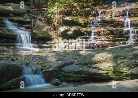 Martins Creek en cascade au-dessus de Serenity Falls dans la forêt humide d'eucalyptus du parc forestier de Bunderim, Sunshine Coast, Queensland, Australie. Banque D'Images