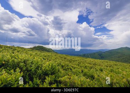 Vue depuis le sentier de randonnée de Wetlina dans le parc national de Bieszczady en Pologne Banque D'Images