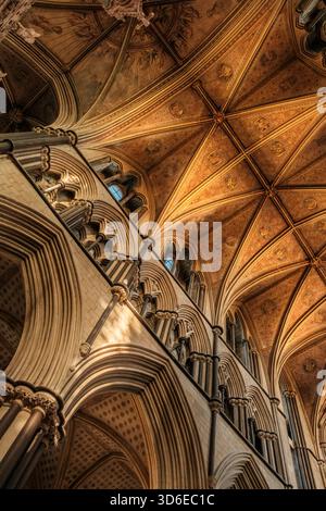 Worcester, Worcestershire - le magnifique plafond voûté de la chapelle de la cathédrale de Worcester. Cathédrale de Worcester, anciennement Churc de la cathédrale Banque D'Images