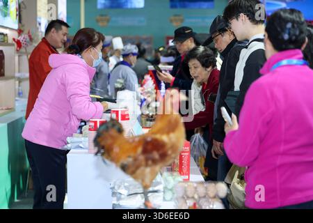 Shanghai. 20 novembre 2025. Les visiteurs goûtent à la cuisine locale dans une zone d'exposition de la province d'Anhui, dans l'est de la Chine, lors de la 6e exposition internationale des industries culturelles du delta du Yangtsé à Shanghai, dans l'est de la Chine, le 20 novembre 2025. Couvrant une superficie de 80 000 mètres carrés, l'expo a débuté jeudi à Shanghai, avec plus de 1 500 exposants participants. Crédit : Wang Xiang/Xinhua/Alamy Live News Banque D'Images