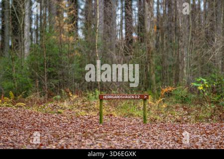 Panneau de sentier en bois indiquant la direction de Herrgårdsvägen dans la forêt suédoise Banque D'Images
