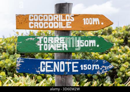 Panneaux directionnels en bois vifs sur un poteau à Cozumel, indiquant les distances jusqu'à une zone de crocodiles, une tour et un cenote, en espagnol et en anglais. Le Banque D'Images