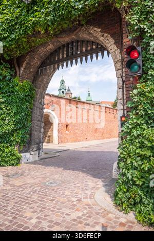 Entrée couverte de lierre au complexe du château royal de Wawel à Kraków, Pologne. Banque D'Images