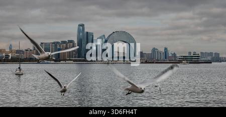 Horizon futuriste en bord de mer avec gratte-ciel circulaire emblématique - Crescent Bay, voiliers et oiseaux en vol sous un ciel nuageux. Bakou, Azerbaïdjan. Banque D'Images