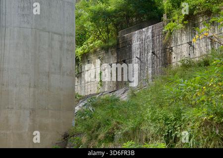 Une petite cascade déverse sur un mur de soutènement à motifs à côté du chemin, où les vignes et les herbes récupèrent la pente sous le viaduc. Banque D'Images