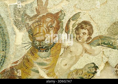 Mosaïque romaine antique montrant un Cupidon chevauchant un tigre à Timgad, Algérie Banque D'Images