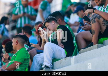 Caxias do Sul, Brésil. 20 novembre 2025. RS - CAXIAS DO SUL - 11/20/2025 - CHAMPIONNAT BRÉSILIEN A 2025, JUVENTUDE x CRUZEIRO - fans de Juventude lors d'un match contre Cruzeiro au stade Alfredo Jaconi pour le Championnat brésilien A 2025. Photo : Luiz Erbes/AGIF (photo de Luiz Erbes/AGIF/SIPA USA) crédit : Sipa USA/Alamy Live News Banque D'Images