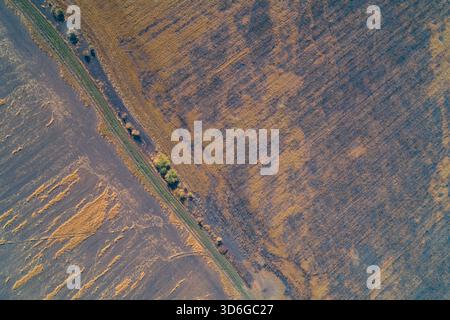 Vue aérienne de haut en bas d'un champ à motifs diagonaux montrant un contraste net entre la terre sombre, éventuellement humide ou endommagée et le chaume doré chaud, séparé par une trajectoire droite. Banque D'Images