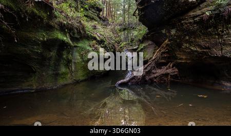 Vue d'un ruisseau serein niché entre des falaises couvertes de mousse avec un tronc d'arbre tombé reflété dans l'eau calme, Logan, Ohio, États-Unis. Banque D'Images