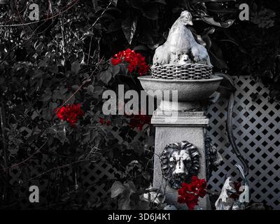 Scène de jardin Moody avec couleur sélective : bougainvilliers rouges vifs entourent une fontaine de piédestal en pierre altérée surmontée d'un nid de poulet. Banque D'Images