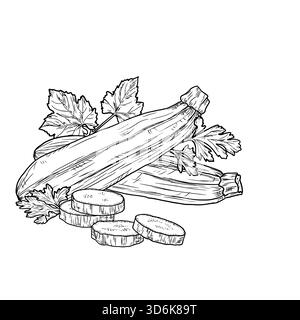 Courgettes et aubergines, entières et tranchées, croquis. Illustration vectorielle. Légumes de ferme avec des feuilles isolées sur fond blanc. Thème de la cuisine Illustration de Vecteur