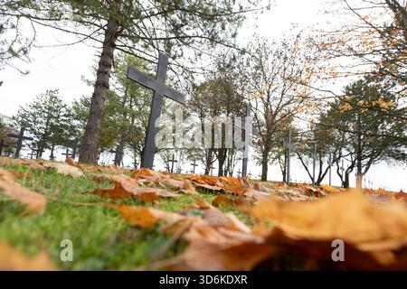 Des croix graves portant les noms des soldats allemands tombés se trouvent dans le cimetière de guerre allemand de Neuville-réussis Vaast, qui a été un Herita mondial de l'UNESCO Banque D'Images