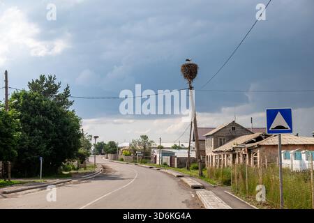 Grand nid de cigogne avec oiseau sur le dessus du poteau utilitaire par une route de village rural à Javakheti près du lac Paravani. Lac Paravani, Javakheti, Géorgie. 18 juillet Banque D'Images