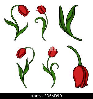 Une charmante collection vectorielle de six tulipes rouges individuelles et illustrations de jonquilles avec des tiges et des feuilles vertes coulantes, présentées sur un BA blanc propre Illustration de Vecteur