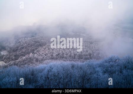 Allemagne, Misty vue panoramique aérienne au-dessus de la neige blanche paysage nature couvert forêt d'hiver merveilles sans fin montagnes couvertes d'arbres Banque D'Images