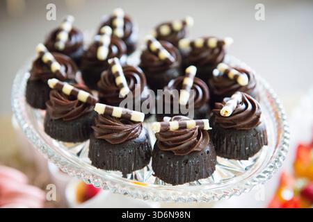 Mini Cupcakes au chocolat avec boucles décoratives au chocolat Banque D'Images