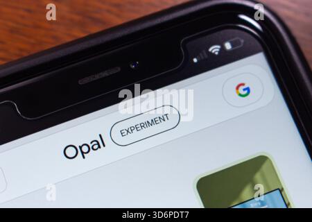 Quito, ÉQUATEUR - 11 novembre 2025 : gros plan d'un logo Google Opal sur son site web. Banque D'Images