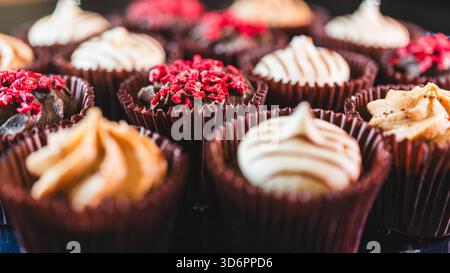 Assiette pleine de beaux mini cupcakes au chocolat coloré avec glaçage vibrant. Parfait pour les fêtes, les célébrations et les tables de desserts. Sucré et délicieux Banque D'Images