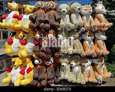 Bottrop, Allemagne - 4 juillet 2025 : mur de plusieurs animaux en peluche. Banque D'Images