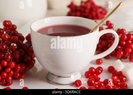 Tasse de thé viburnum chaud avec des cubes de sucre, gros plan Banque D'Images