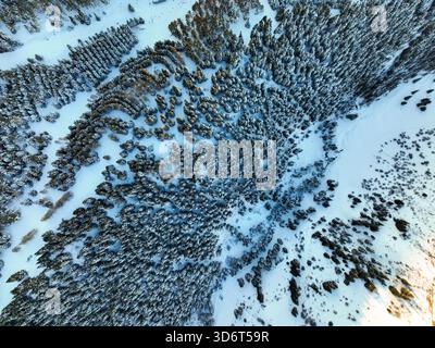 Prise de vue aérienne en angle extrêmement élevé capturant la texture dense et détaillée d'une pente montagneuse enneigée, épaisse et recouverte de conifères et de sn léger Banque D'Images