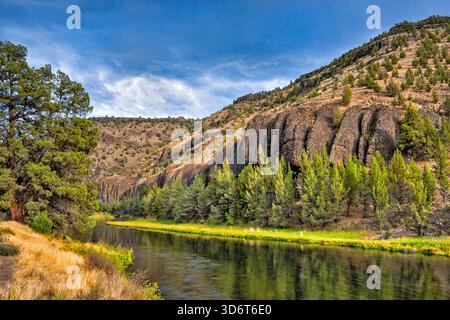 Palisades, roches de basalte au-dessus de Crooked River, terrain de camping de Palisades, Crooked River Natl Wild et Scenic River, au sud de Prineville, High Desert, Oregon Banque D'Images