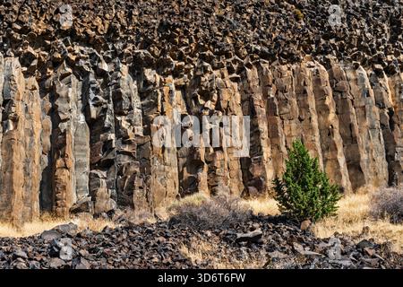 Roches basaltiques colonnaires de Palisades au-dessus de South Fork Crooked River au camping Lower Palisades, au sud de Prineville, dans la région de High Desert, Oregon, États-Unis Banque D'Images