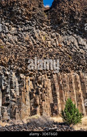 Roches basaltiques colonnaires de Palisades au-dessus de South Fork Crooked River au camping Lower Palisades, au sud de Prineville, dans la région de High Desert, Oregon, États-Unis Banque D'Images