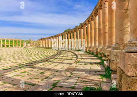 Jerash, Jordanie. Le Forum ovale et Cardo Maximus dans l'ancien Jerash Banque D'Images