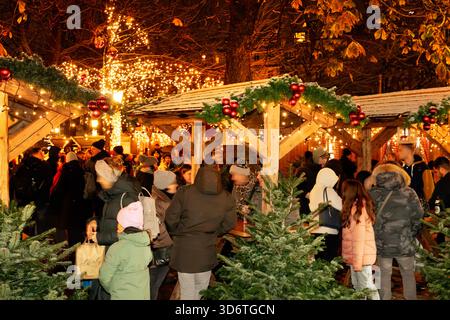 Winterzauber am Viktualienmarkt, der frisch eröffnete Weihnachtsmarkt am Freitagabend, München, novembre 2025 Deutschland, München, novembre 2025, Winterzauber am Viktualienmarkt, der Weihnachtsmarkt wurde heute eröffnet, viele genießen in der Kälte einen heißen Glühwein oder Punsch, die vielen festlichen Lichter sorgen für vorweihnachtliche Stimmung, winterliche Temperaturen um die 0 Grad, Freitagabend, Wochenende Herbst, Bayern, bayerisch, *** magie hivernale au Viktualienmarkt, le marché de Noël fraîchement ouvert le vendredi soir, Munich, novembre 2025 Allemagne, Munich, novembre 2025, Wint Banque D'Images