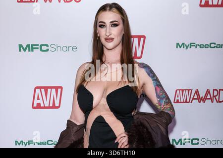 Hollywood, États-Unis. 21 novembre 2025. HOLLYWOOD, LOS ANGELES, CALIFORNIE, États-Unis - 20 NOVEMBRE : Avalon Mira arrive à la soirée des nominations aux AVN Awards 2026 qui se tient à AVALON Hollywood et Bardot le 20 novembre 2025 à Hollywood, Los Angeles, Californie, États-Unis. (Photo de Xavier Collin/image Press Agency) crédit : image Press Agency/Alamy Live News Banque D'Images