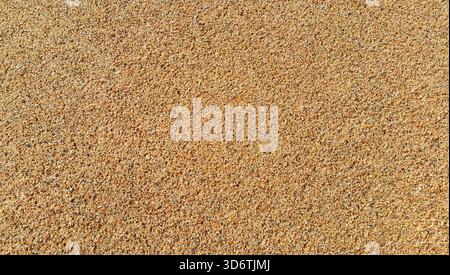 Fond de sable naturel, texture en gros plan Banque D'Images