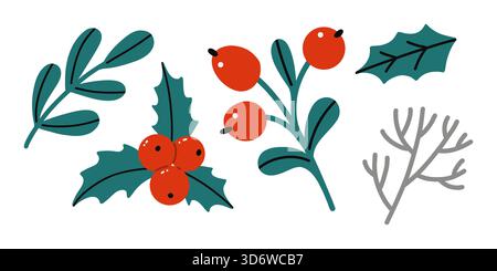 Ensemble de vecteur de fleurs et de branches d'hiver. Illustration de Vecteur