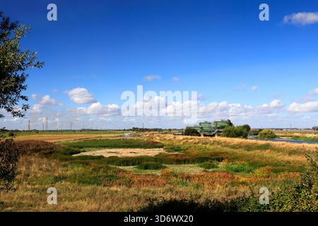 Vue estivale de la rivière Nene, North Bank, Whittlesey Town, Cambridgeshire, Angleterre; ROYAUME-UNI Banque D'Images