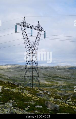 Pylône électrique debout dans le paysage rocheux froid aride du sud de la Norvège Banque D'Images